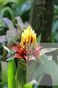 巴彥淖爾欠網(wǎng)貸