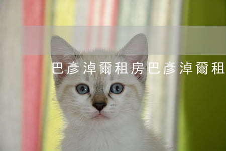 巴彥淖爾租房(巴彥淖爾租房)