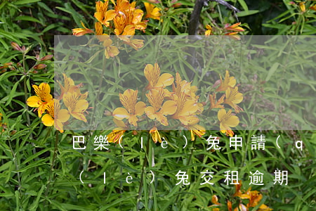 巴樂(lè)兔申請(qǐng)退租（芭樂(lè)兔交租逾期）