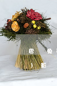 巴樂兔平臺(tái)逾期交租會(huì)影響征信嗎-巴樂兔平臺(tái)逾期交租會(huì)影響征信嗎知乎