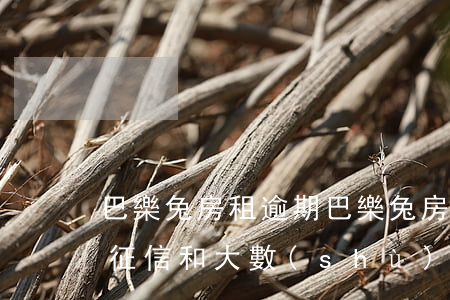 巴樂兔房租逾期(巴樂兔房租逾期會不會影響征信和大數(shù)據(jù))