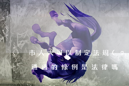 市人大可以制定法規(guī)嗎(地方人大通過的條例是法律嗎)