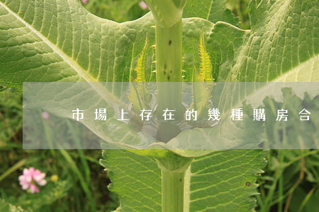 市場上存在的幾種購房合同的注意事項