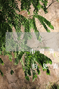 市場貨源風(fēng)險是否可以成為違約免責(zé)事由
