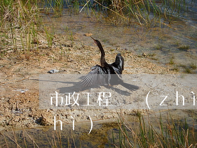 市政工程資質(zhì)(市政工程資質(zhì))