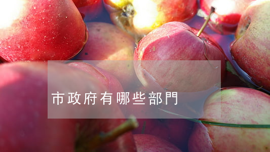 市政府有哪些部門