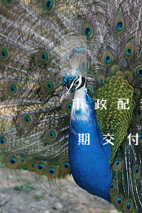 市政配套設(shè)施導(dǎo)致逾期交付責(zé)任-市政配套設(shè)施導(dǎo)致逾期交付責(zé)任怎么辦