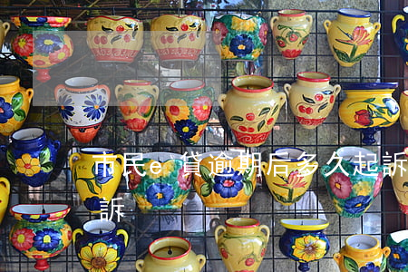 市民e貸逾期后多久起訴(萬e貸逾期多久起訴)