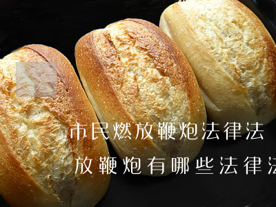 市民燃放鞭炮法律法規(guī)(關于燃放鞭炮有哪些法律法規(guī))