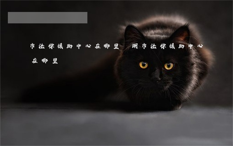 市法律援助中心在哪里(蕪湖市法律援助中心在哪里)
