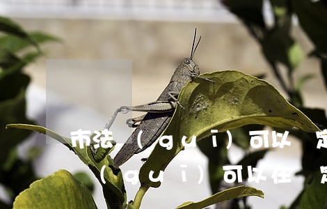 市法規(guī)可以設定許可嗎(地方性法規(guī)可以在設定的行政許可事項范圍內)