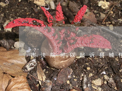 市法院可以起诉县城住户吗(县有人民法院吗)