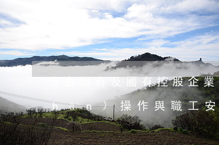 市直國有及國有控股企業(yè)破產(chǎn)操作與職工安置程序