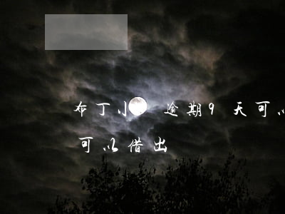 布丁小貸逾期9天可以借(布丁小貸逾期9天可以借出來嗎)