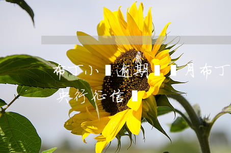 布丁小貸逾期兩個月(布丁小貸逾期三年會上央行征信嗎?)