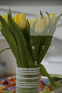 布丁小贷逾期25天(布丁小贷逾期25天会怎样)
