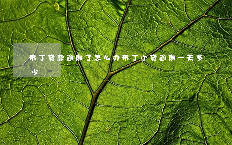 布丁贷款逾期了怎么办（布丁小贷逾期一天多少）