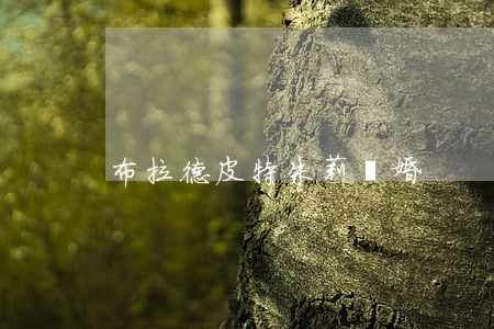 布拉德皮特朱莉離婚