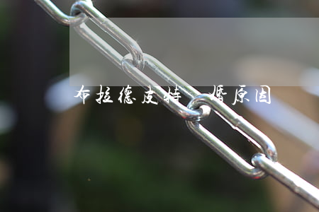 布拉德皮特離婚原因