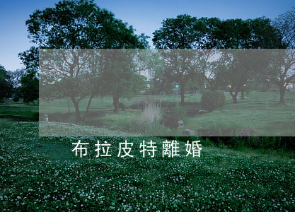 布拉皮特離婚