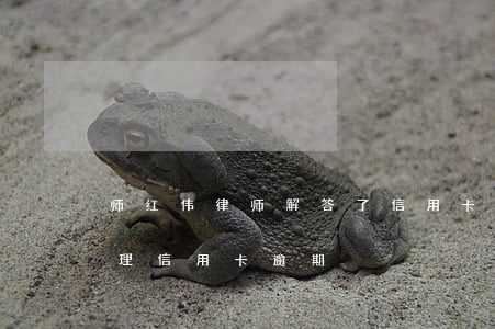 师红伟律师解答了信用卡逾期过-找律师处理信用卡逾期