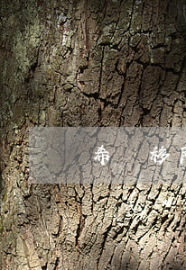 希臘移民辦理(移民希臘需要個人提供什么手續(xù))