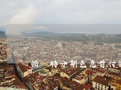 帕薩特分期免息首付(帕薩特免息首付多少)