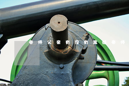 帝师父亲有没有离婚(帝师父亲有没有离婚)