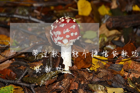 带过款还能个捷信贷款吗(带过款还能个捷信贷款吗)