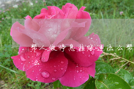帮人做停息挂账违法么 帮人做停息挂账违法么