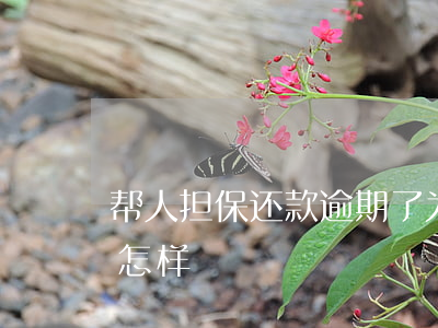 帮人担保还款逾期了(为他人贷款担保逾期会怎样)