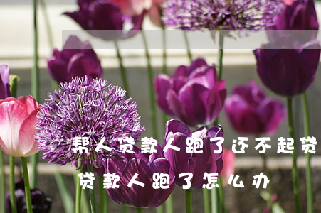 帮人贷款人跑了还不起贷款怎么办-帮别人贷款人跑了怎么办