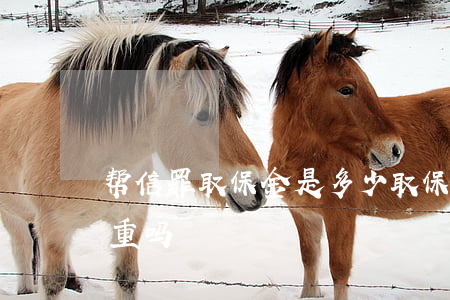 帮信罪取保金是多少(取保保证金2万罪很严重吗)