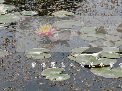 帮信罪怎么定流水(帮信罪定义)