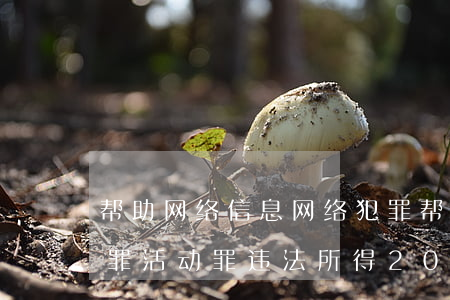 帮助网络信息网络犯罪(帮助网络信息网络犯罪活动罪违法所得20万以上)