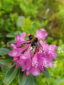 帮助走出离婚痛苦的书(怎么样才能走出离婚的痛苦)