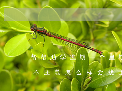 帮帮助学逾期一个星期会怎么样-帮帮助学不还款怎么样?会找上门吗?