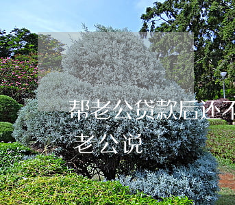帮老公贷款后还不上怎么办（贷款还不起想跟老公说）