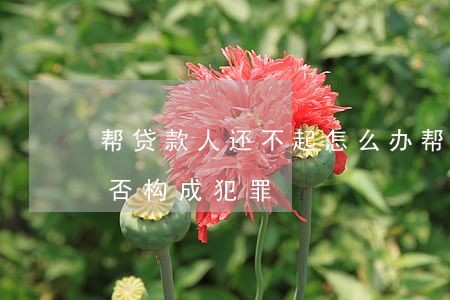 帮贷款人还不起怎么办(帮人贷款对方不还是否构成犯罪)