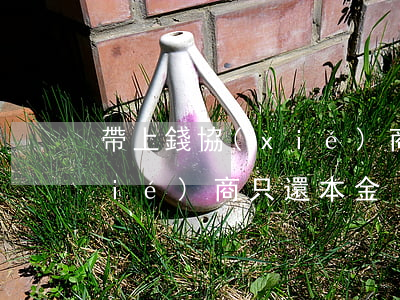 帶上錢協(xié)商只還本金(貸款協(xié)商只還本金)