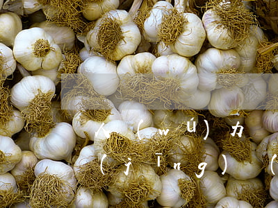 帶人無(wú)力償還債權(quán)人經(jīng)濟(jì)該怎么樣-帶人無(wú)力償還債權(quán)人經(jīng)濟(jì)該怎么樣處理