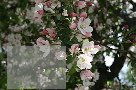 帶單違法可以維權(quán)嗎(網(wǎng)上做單違法嗎)