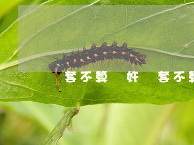 帶套不算強奸(帶套不算強奸)
