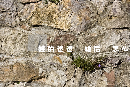 帶娃的爸爸離婚后該怎么辦