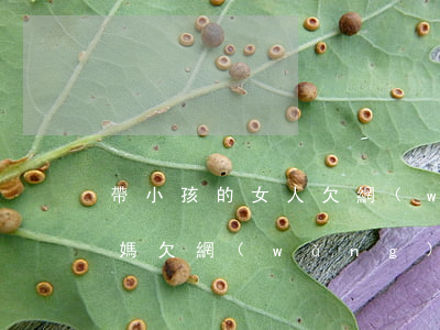 帶小孩的女人欠網(wǎng)貸(有沒有寶媽欠網(wǎng)貸的)