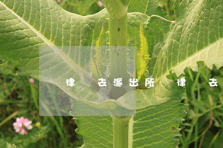 帶律師去派出所(帶律師去派出所報案好處)