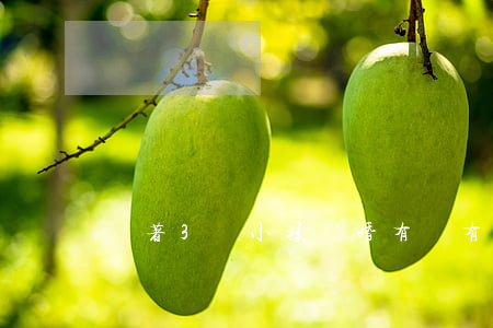 帶著3個小孩離婚(有沒有離婚帶兩個娃的)