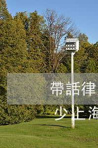 帶話律師一次收費多少(帶話律師一次收費多少上海)