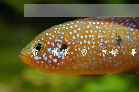 常寧市律師(常寧市律師事務所有幾個)