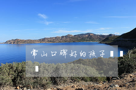 常山口碑好的孩子撫養(yǎng)糾紛律師